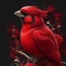 Profilbild von Red bird