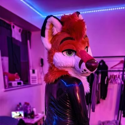 zekefoxdog's profile picture