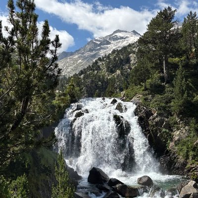 Benasque 🏔️ Info's profile picture