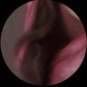 نـــ's profile picture