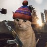 Cool person's profile picture