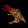 Фото профиля bullsquid