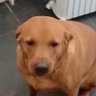 magicbean01's profile picture