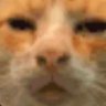 Profilbild von Modern immortal
