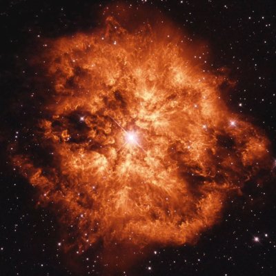 neonbeloved's profile picture