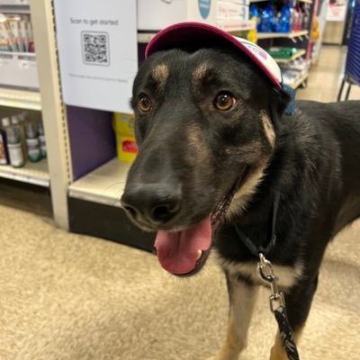 SnDylan's profile picture