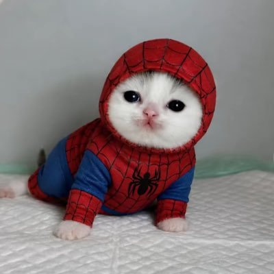 astro's profile picture