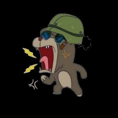 OssSuaxeneyer's profile picture