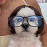 Profilbild von Dr. Jojoseph