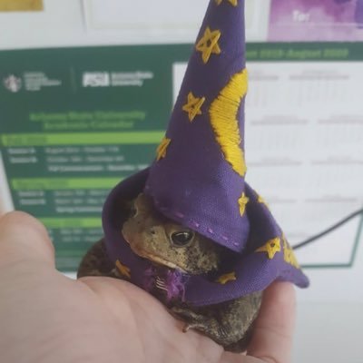 _porlachucha's profile picture