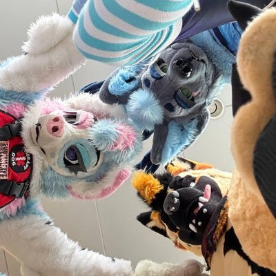 🍷 RosèFox 🍾 🔜 MP's profile picture