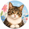 동피랑고양이(Dongpirang Cat)😸 的头像