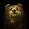 ImpressedGrizzly profil fotoğrafı