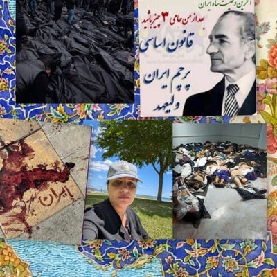 nahidsh527641's profile picture