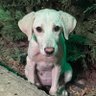 BegümGibiBegüm's profile picture