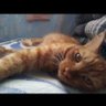 Lito C profil fotoğrafı