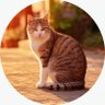 おもち's profile picture