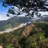 Фото профиля jejak rimba