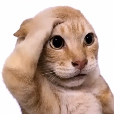5HAWORLD's profile picture