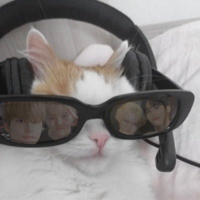 うたん's profile picture