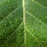 Фото профиля Twizam