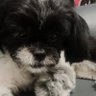 JSTenSoloq's profile picture