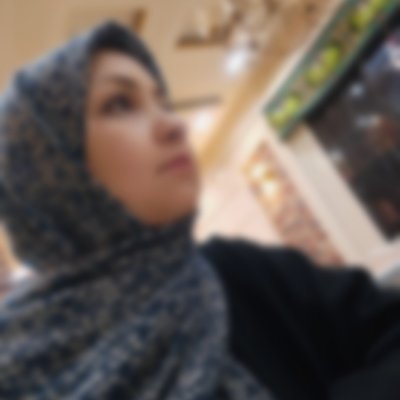 H_Parsa0061's profile picture