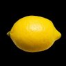 Profilbild von 😝CITRIC ACID/LOXUUU😝