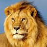 ہاسییاں کھیڈیاں profil fotoğrafı
