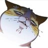 Profilbild von Umar