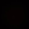 bigdick_cam's profile picture