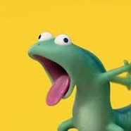 what the Fung's profile picture
