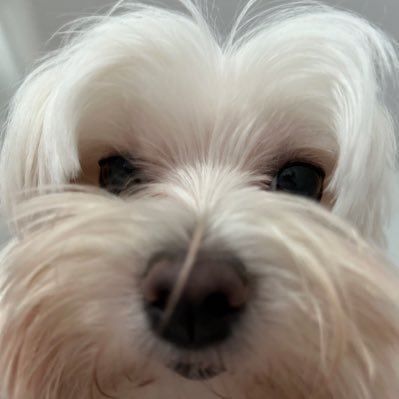 dreampanit's profile picture
