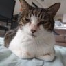 Profilbild von bkktomtomtom