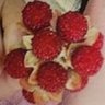 ✷ n 🍓🫐 (ia)'s profile picture