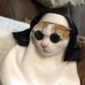 Profilbild von truman