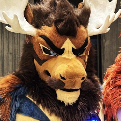 Diffuse Moose 🫎 ➡️ DenFur '26's profile picture