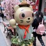 Profilbild von たぬきのいとこ