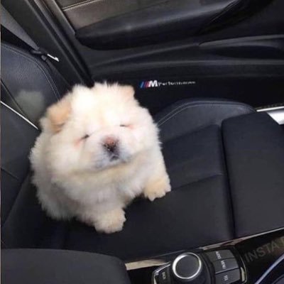 replay's profile picture