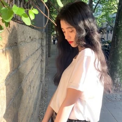 causeimapuppy's profile picture