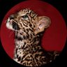 م العتيبي🌷.'s profile picture