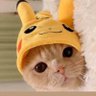 kinkin's profile picture