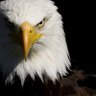 NADER's profile picture