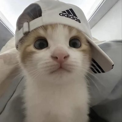 가을's profile picture