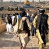 Фото профиля حمزه صاحب