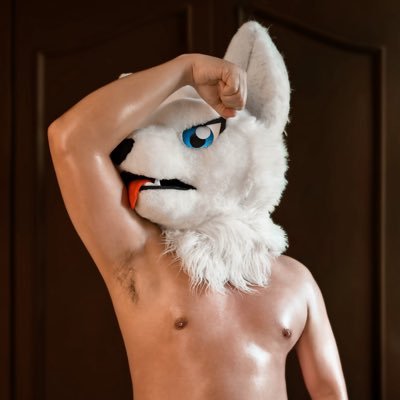 Shiro The White Wolf's profile picture