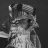 تركي 的头像
