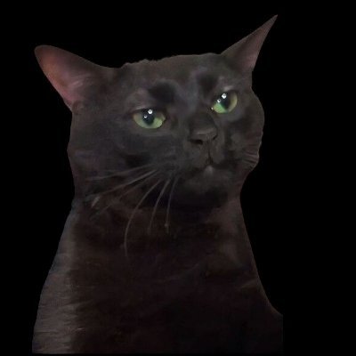 TERRY🍦🐈‍⬛'s profile picture