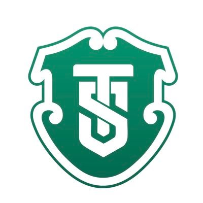 TalkingSporting's profile picture