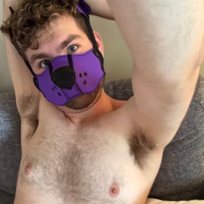 theboydaxy's profile picture